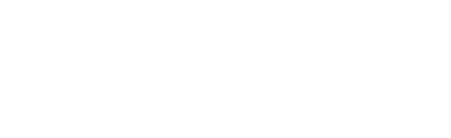 Allium logo